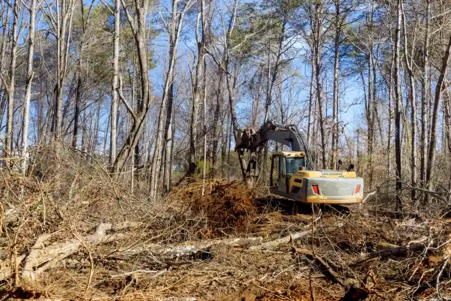 Benefits Of Forestry Mulching For Fence Line Clearing in Prattville, AL Benefits Of Forestry Mulching For Fence Line Clearing in Prattville, AL