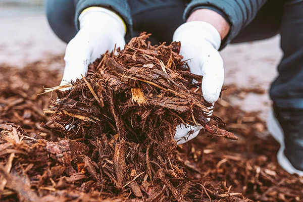 Forestry Mulching
 Forestry Mulching