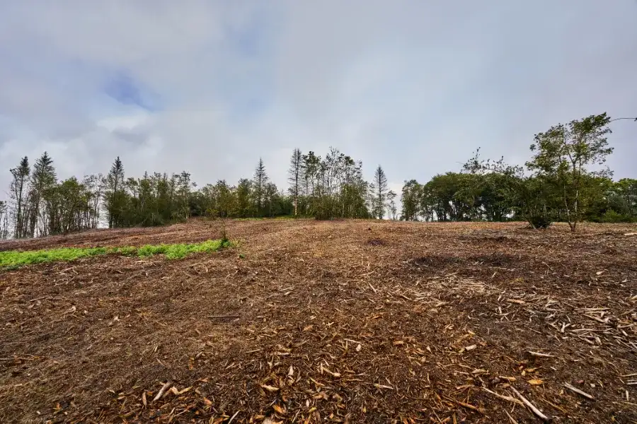 How Forestry Mulching Prepares Land For Fence Installation in Prattville, AL How Forestry Mulching Prepares Land For Fence Installation in Prattville, AL