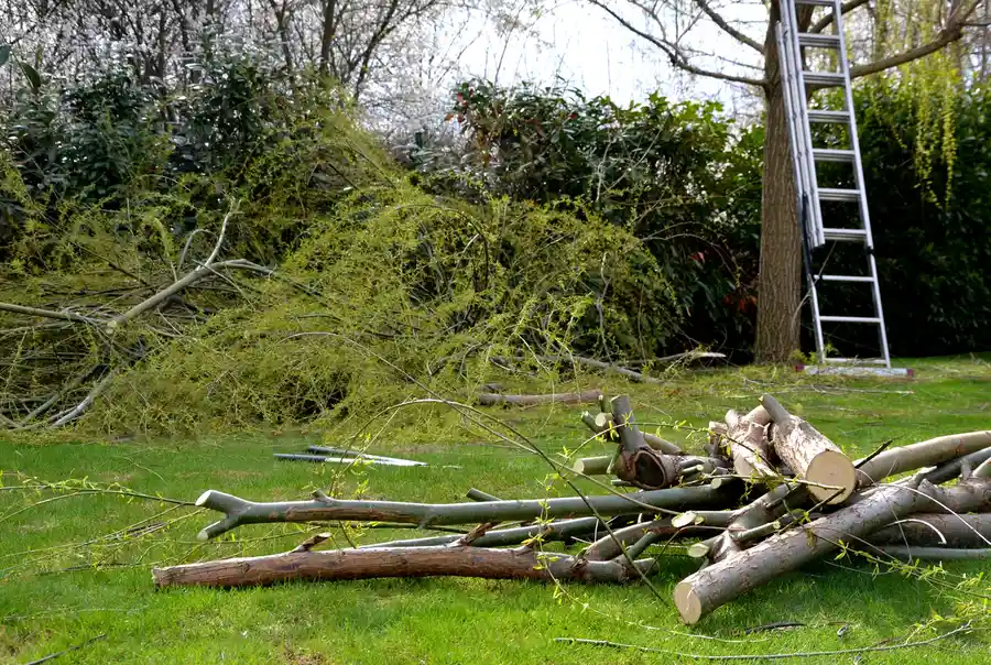 How Land Clearing Enhances Safety In Fence Construction in Prattville, AL How Land Clearing Enhances Safety In Fence Construction in Prattville, AL