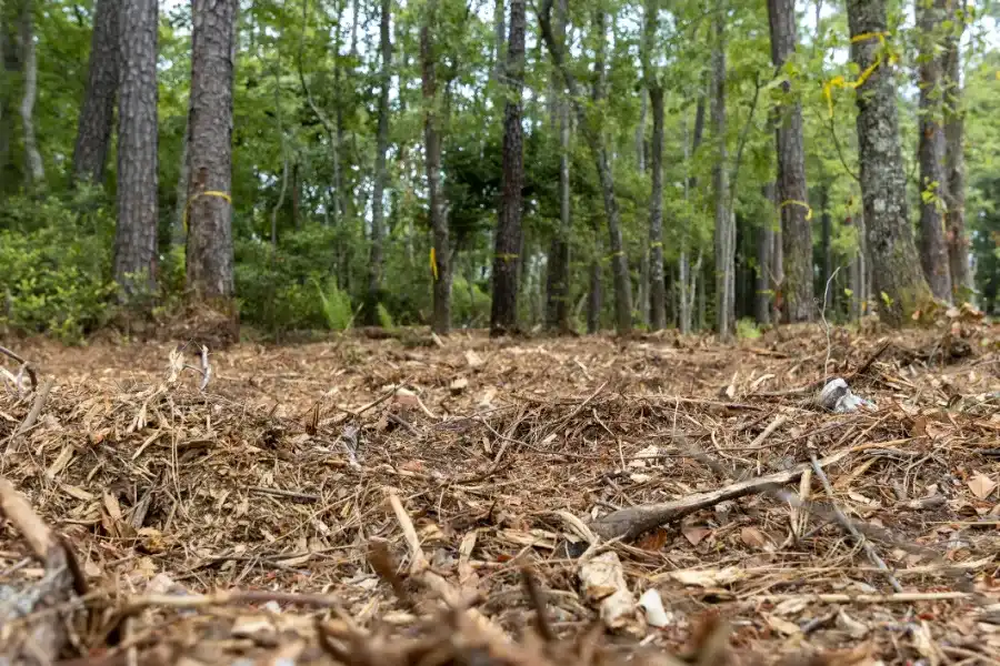 Quality Forestry Mulching Prattville, AL Quality Forestry Mulching Prattville, AL