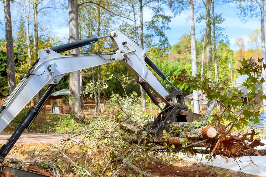 Top-rated Land Clearing Prattville, AL Top-rated Land Clearing Prattville, AL